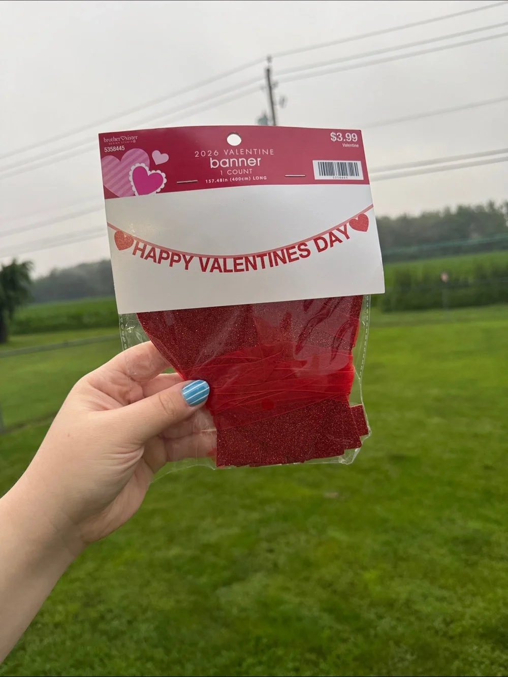 Valentine Banner - Red Happy Valentines Day by